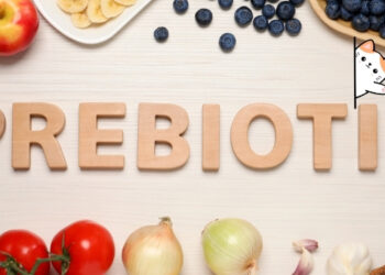 kedilerin beslenmesinde probiyotiğin önemi