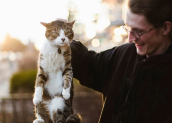 kedileri ensesinden tutmanın sakıncaları