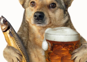 KÖPEKLERDE balık yağı faydaları nelerdir